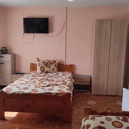 Pansiyon Casa Victor *