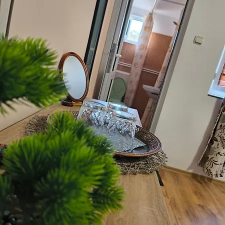 ホームステイ Casa Victor