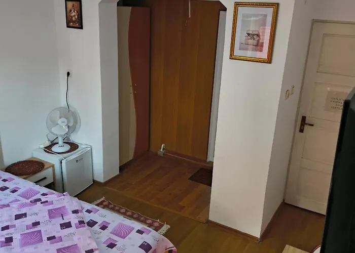 Pansiyon Casa Victor *